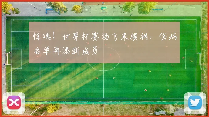 惊魂!世界杯赛场飞来横祸,伤病名单再添新成员