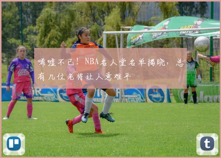唏嘘不已!NBA名人堂名单揭晓,总有几位老将让人意难平